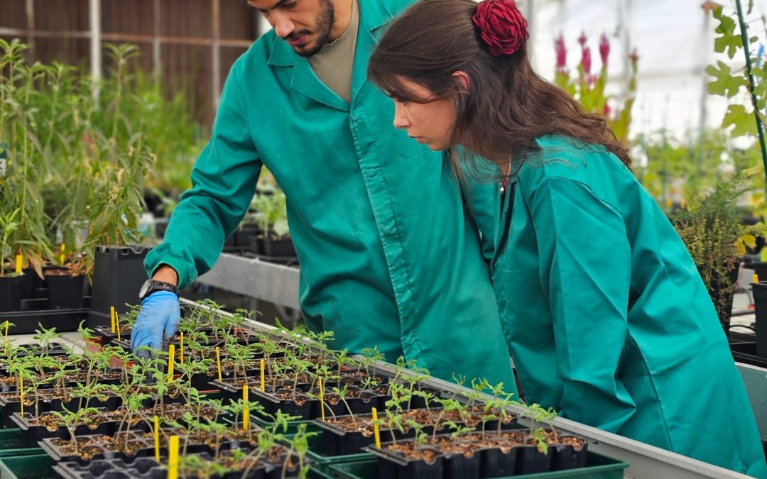 InPP dá mais um passo na proteção intelectual do seu bioestimulante para a agricultura