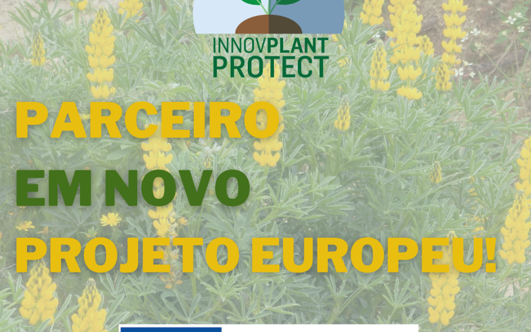 InPP vê aprovado mais um projeto Horizon Europe